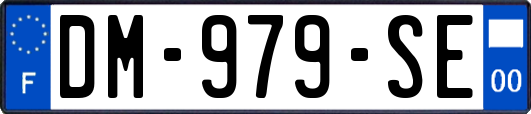 DM-979-SE