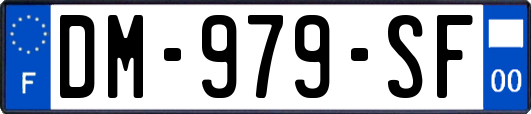 DM-979-SF