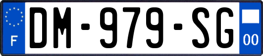 DM-979-SG