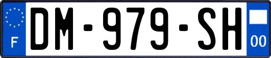 DM-979-SH
