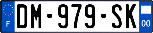 DM-979-SK