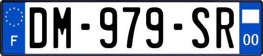 DM-979-SR