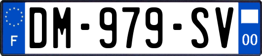 DM-979-SV