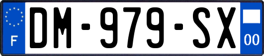 DM-979-SX