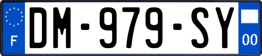 DM-979-SY