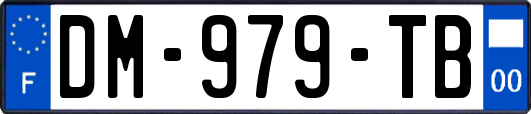 DM-979-TB