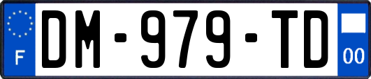 DM-979-TD