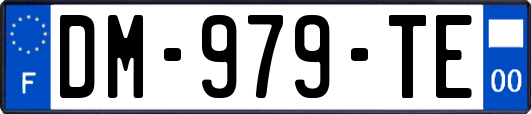 DM-979-TE