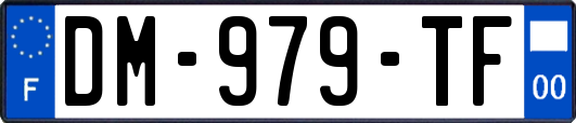 DM-979-TF