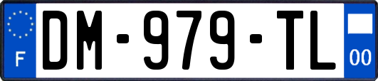 DM-979-TL