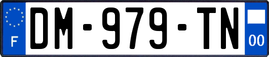 DM-979-TN