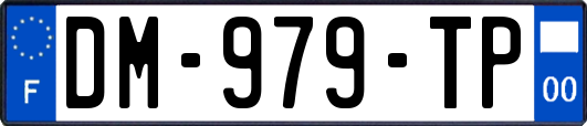 DM-979-TP