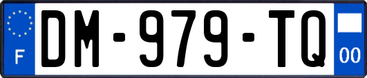 DM-979-TQ