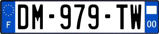 DM-979-TW