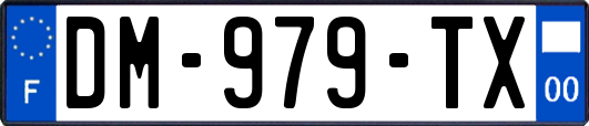 DM-979-TX