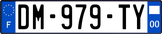 DM-979-TY