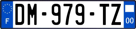 DM-979-TZ