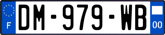 DM-979-WB