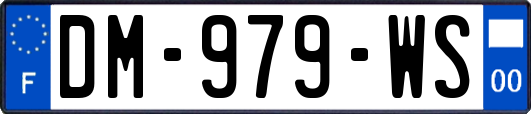 DM-979-WS