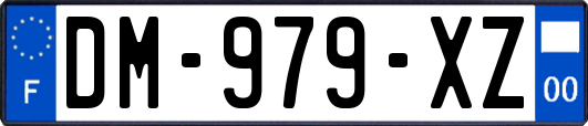 DM-979-XZ