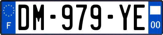 DM-979-YE