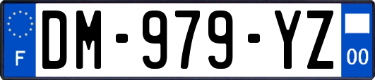 DM-979-YZ