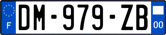 DM-979-ZB