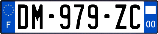 DM-979-ZC