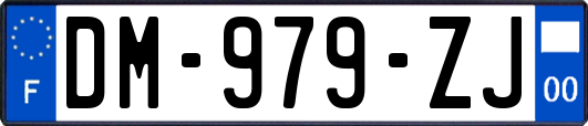 DM-979-ZJ