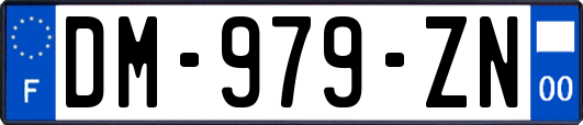 DM-979-ZN