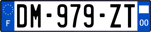 DM-979-ZT