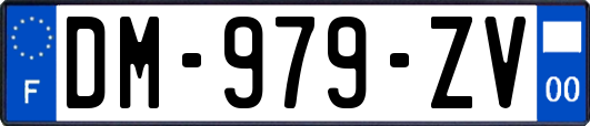 DM-979-ZV