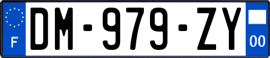 DM-979-ZY