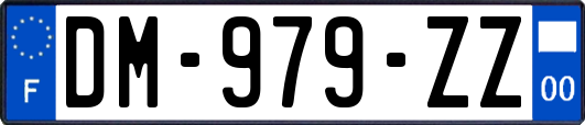 DM-979-ZZ