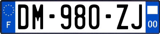 DM-980-ZJ