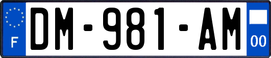 DM-981-AM