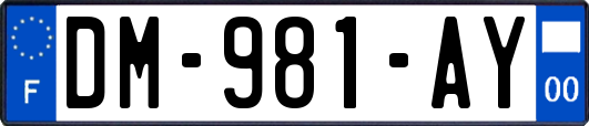 DM-981-AY