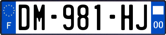 DM-981-HJ