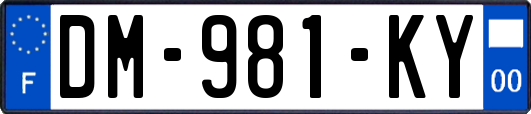 DM-981-KY