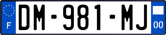 DM-981-MJ