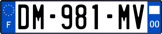 DM-981-MV