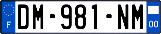 DM-981-NM