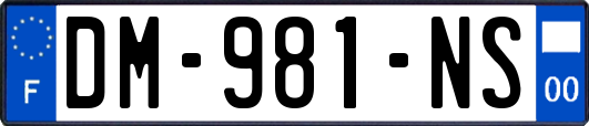 DM-981-NS