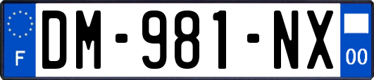 DM-981-NX