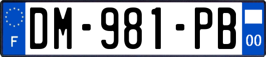DM-981-PB