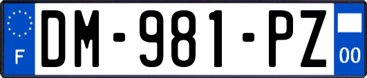 DM-981-PZ