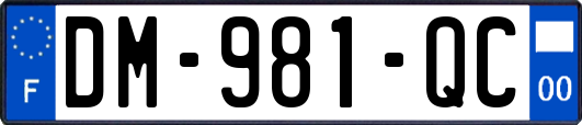 DM-981-QC