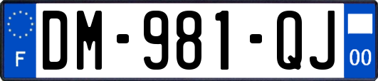 DM-981-QJ
