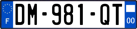DM-981-QT