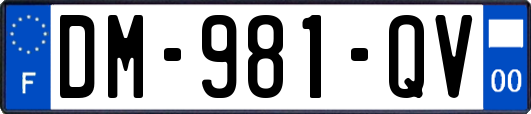 DM-981-QV